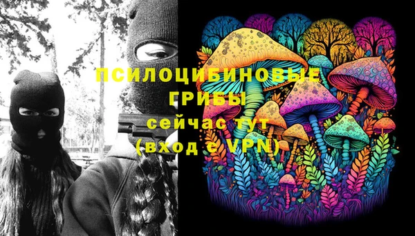 амфетамин Алексеевка