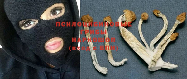 дмт Абинск