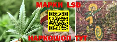 стафф Берёзовский