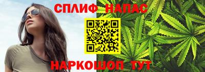 стафф Берёзовский