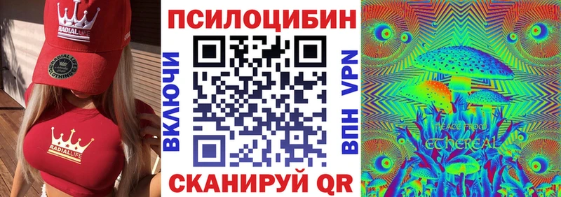 Псилоцибиновые грибы Psilocybine cubensis  OMG сайт  Домодедово  магазин   