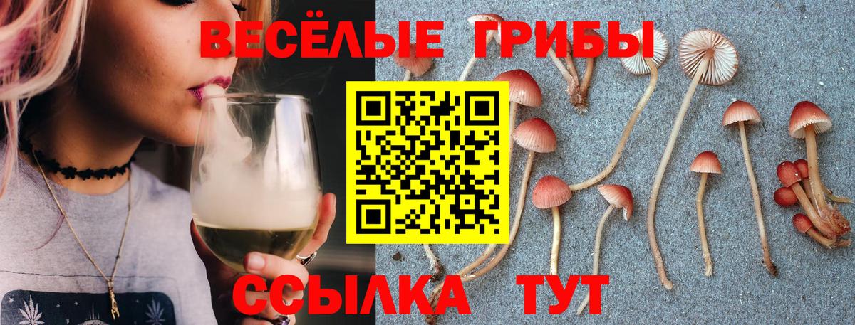 Галлюциногенные грибы MAGIC MUSHROOMS Домодедово