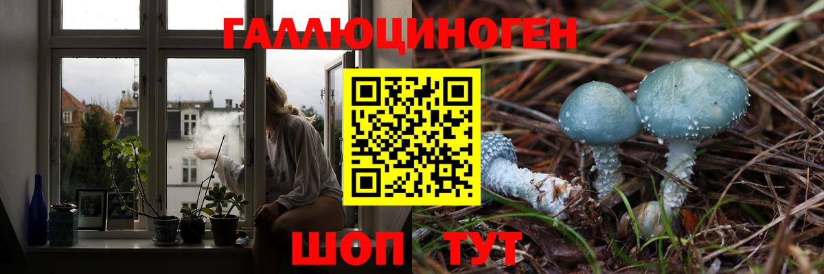 Галлюциногенные грибы мухоморы  Домодедово  Псилоцибиновые грибы мицелий 